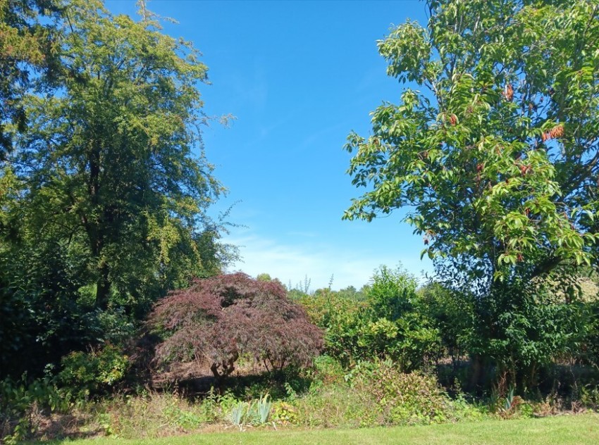 Images for Church Lane, Wexham, Buckinghamshire EAID:2640919782 BID:GCR